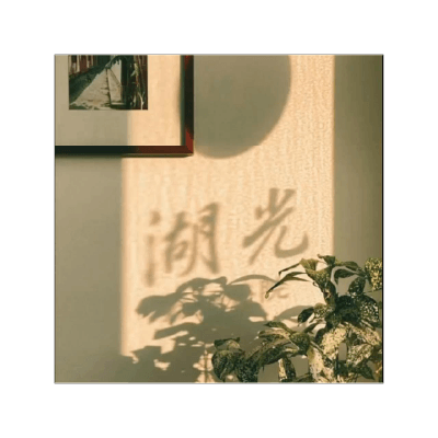 湖光動物醫院