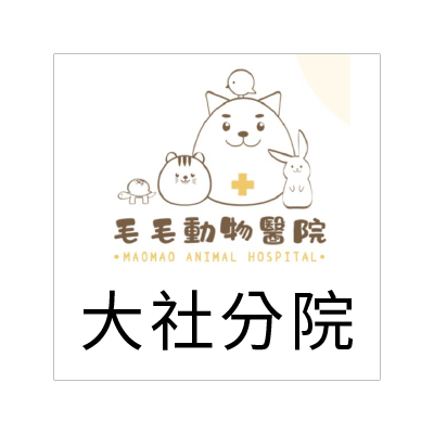 大社毛毛動物醫院