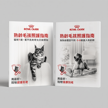 熟齡毛孩，再多一份照護準備